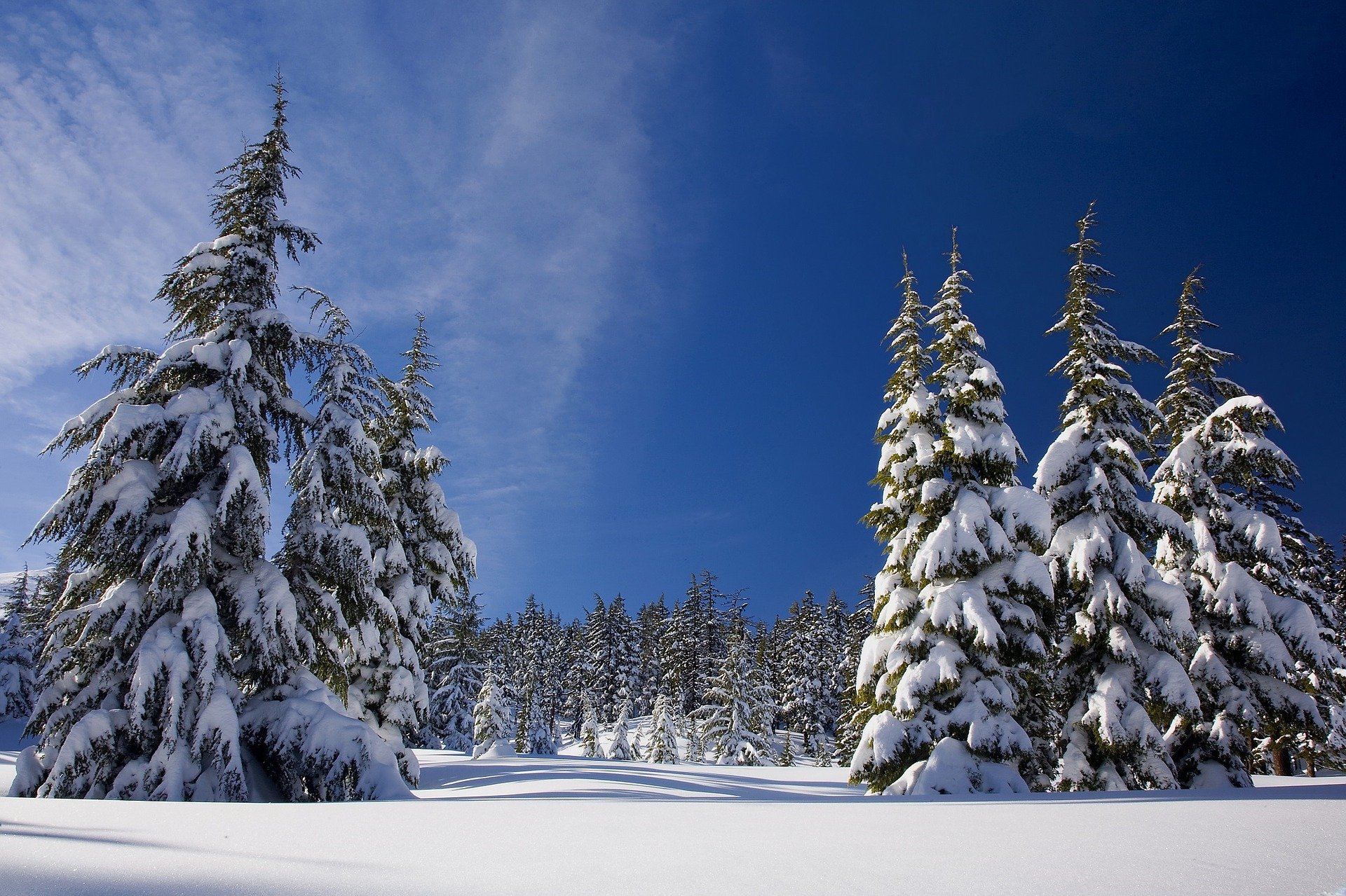 studio champoluc